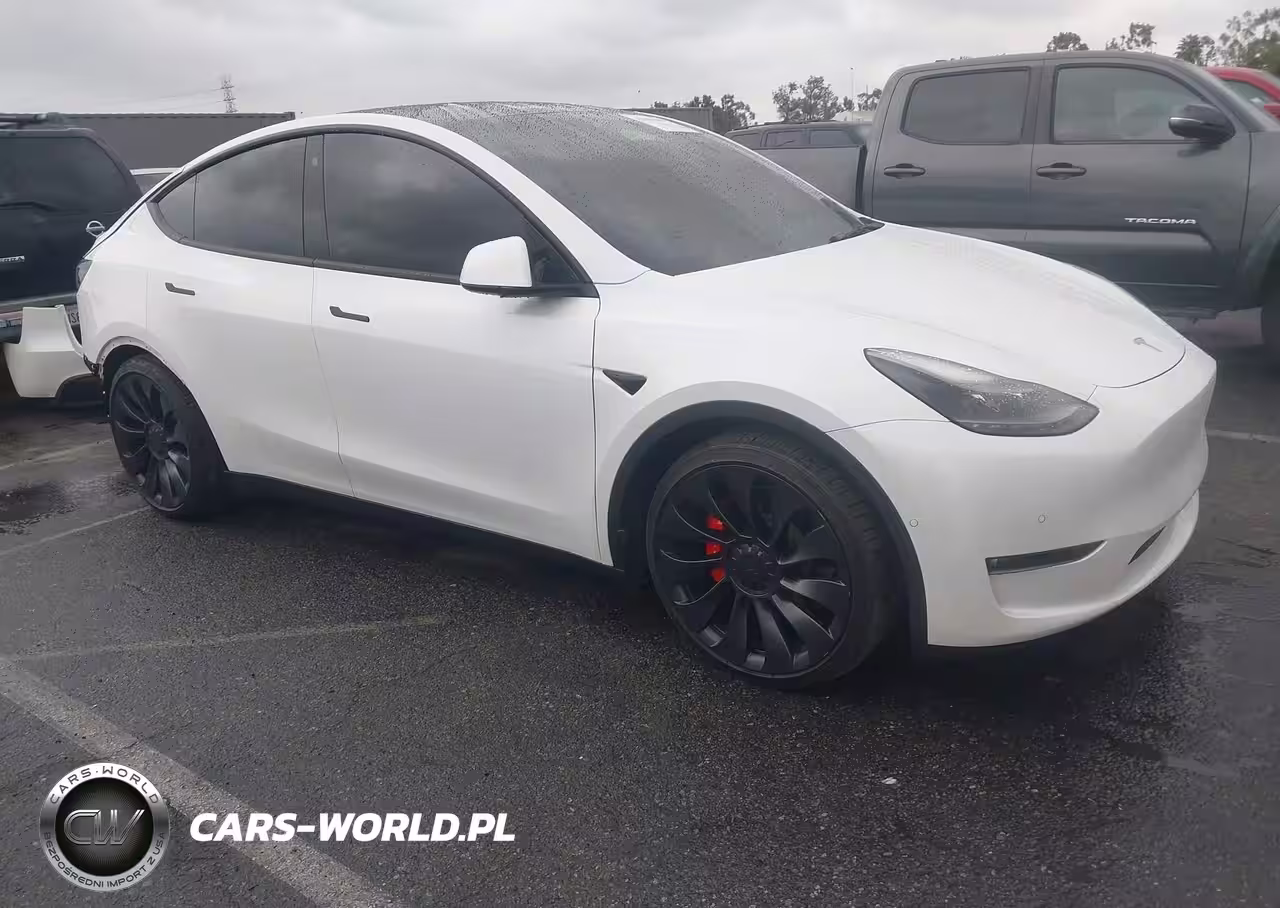 2022 Tesla Model Y Performance Dual Motor All-Wheel Drive
