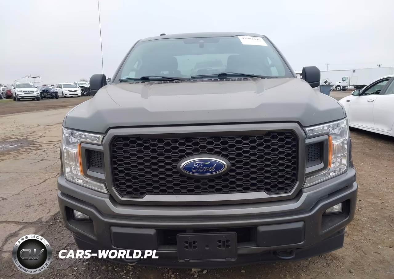2019 Ford F-150 Xl VIN:1FTEW1EP2KKC04564 - 12