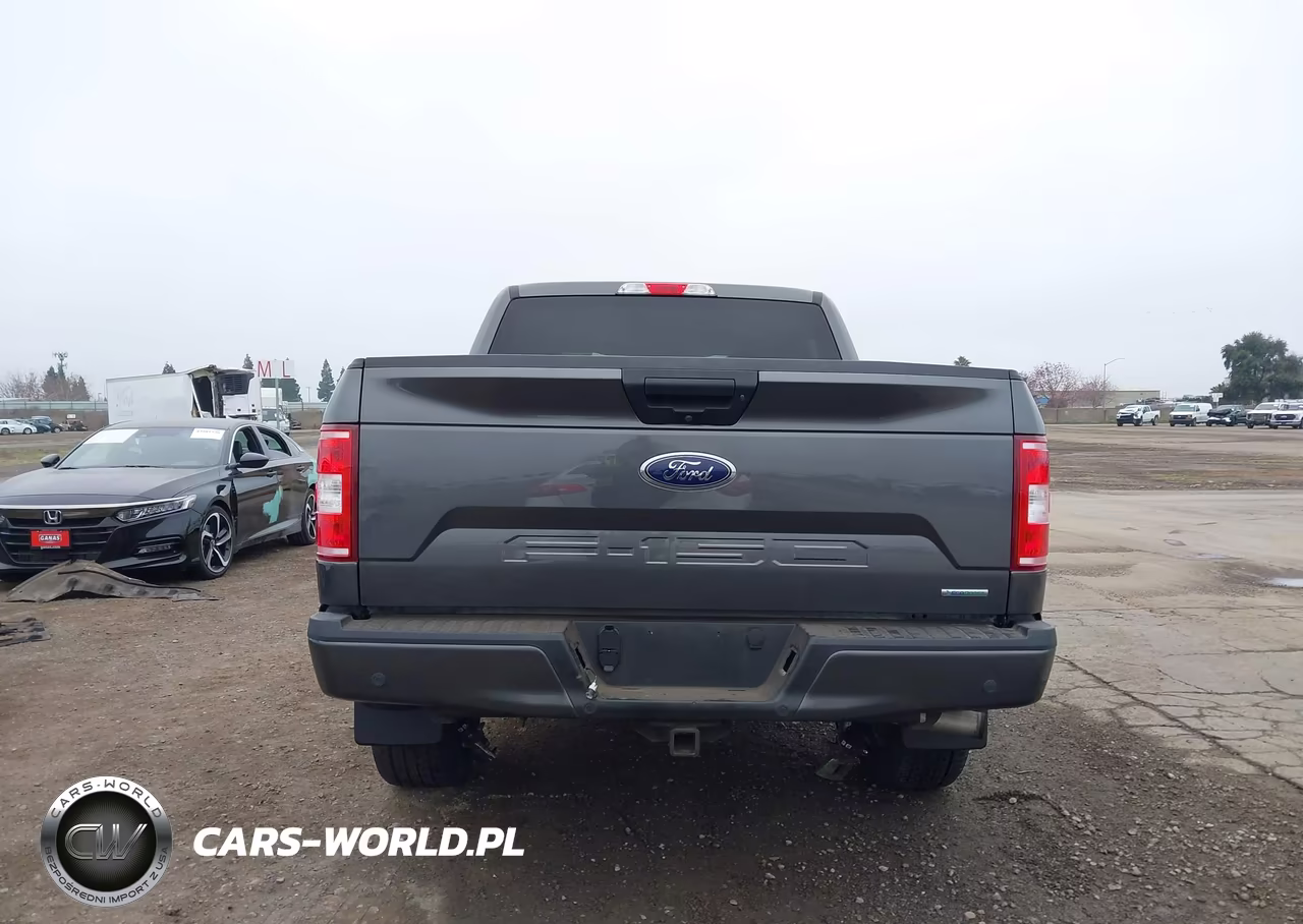 2019 Ford F-150 Xl VIN:1FTEW1EP2KKC04564 - 16