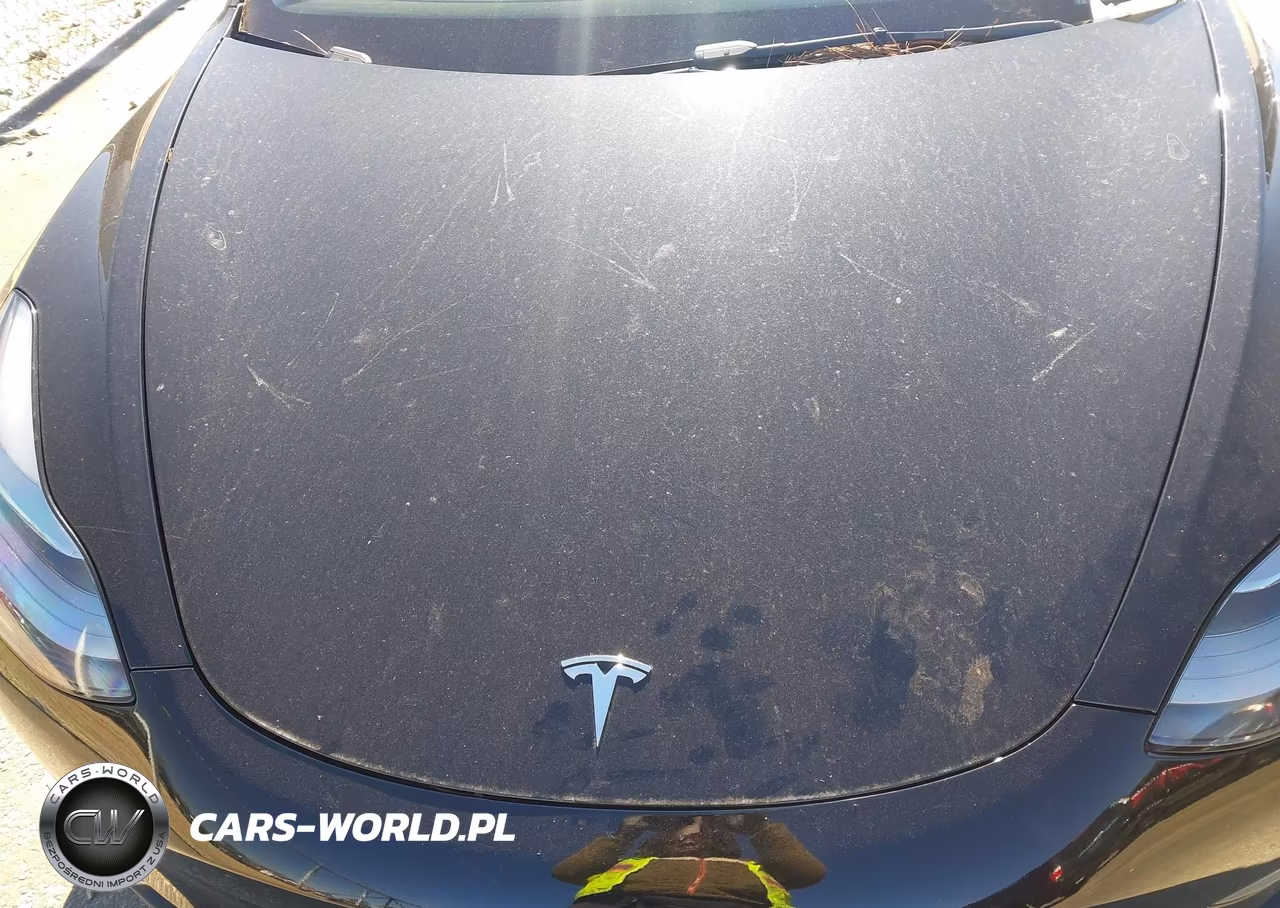 2022 Tesla Model 3 Performance Dual Motor All-Wheel Drive VIN:5YJ3E1EC7NF175734 - 10