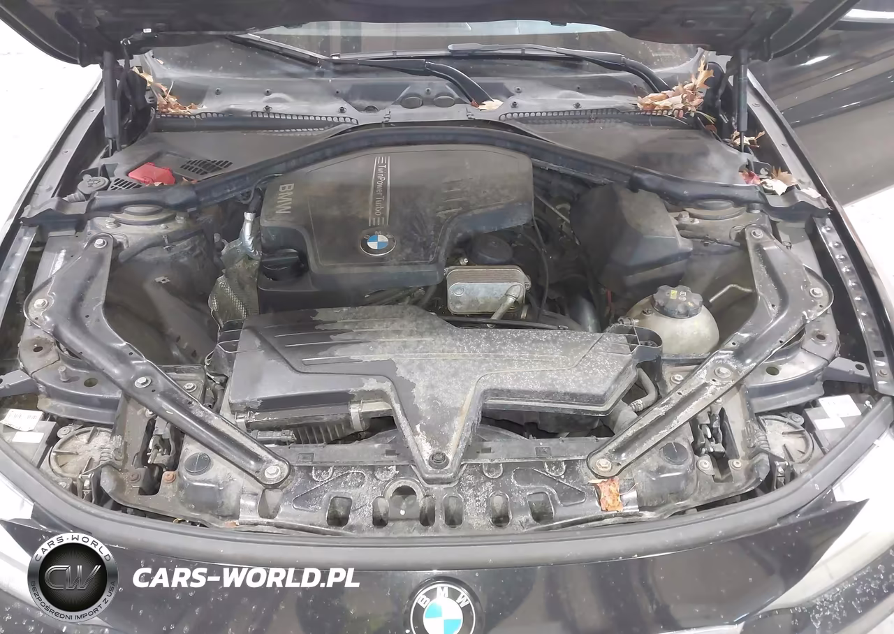 2015 BMW 428I xDrive VIN:WBA3T1C58FP819787 - 10