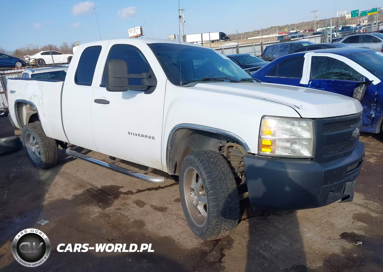 2010 Chevrolet Silverado 1500 Work Truck – zdjęcie 1 z 17