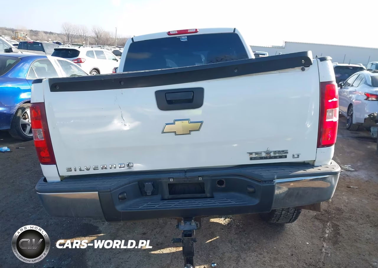 2010 Chevrolet Silverado 1500 Work Truck VIN:1GCSKPE36AZ296444 - 17