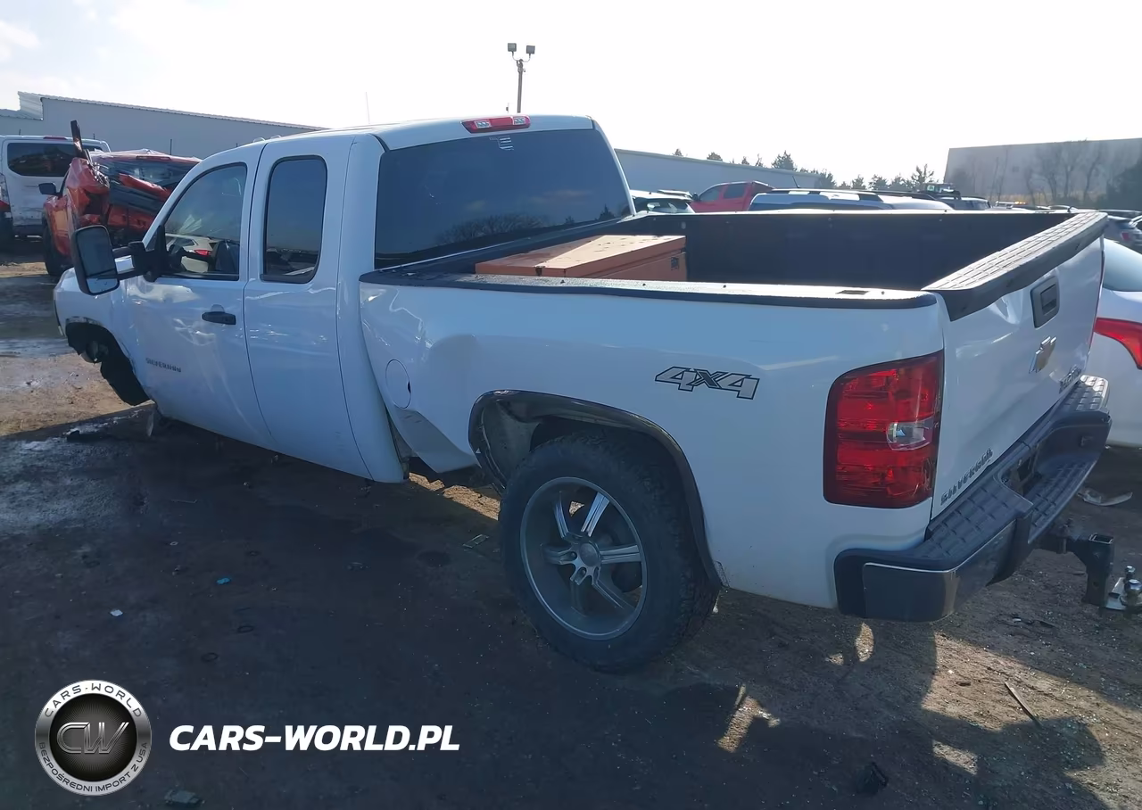 2010 Chevrolet Silverado 1500 Work Truck VIN:1GCSKPE36AZ296444 - 3