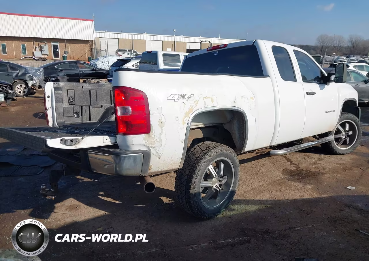2010 Chevrolet Silverado 1500 Work Truck VIN:1GCSKPE36AZ296444 - 4