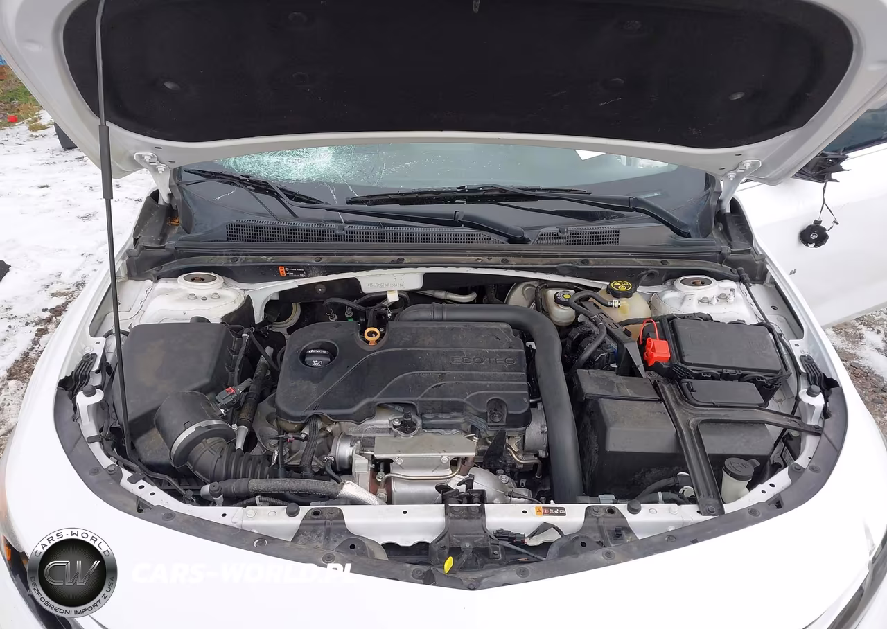 2019 Chevrolet Malibu Lt VIN:1G1ZD5ST0KF153471 - 10