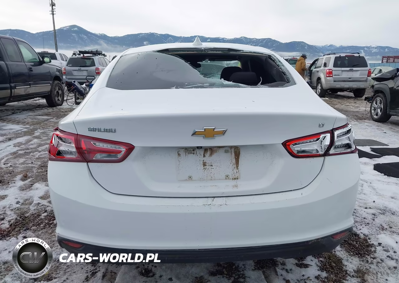 2019 Chevrolet Malibu Lt VIN:1G1ZD5ST0KF153471 - 17