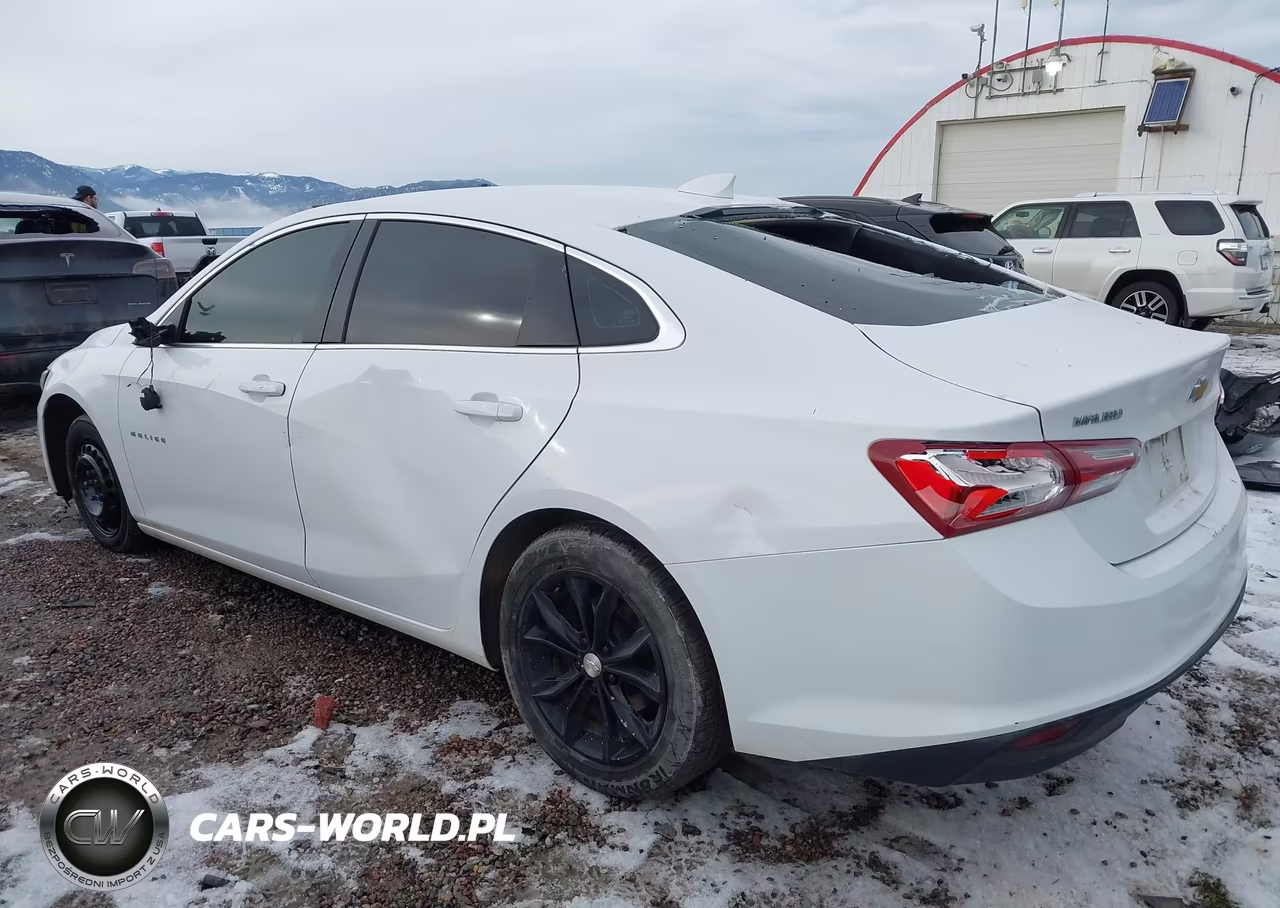 2019 Chevrolet Malibu Lt VIN:1G1ZD5ST0KF153471 - 3
