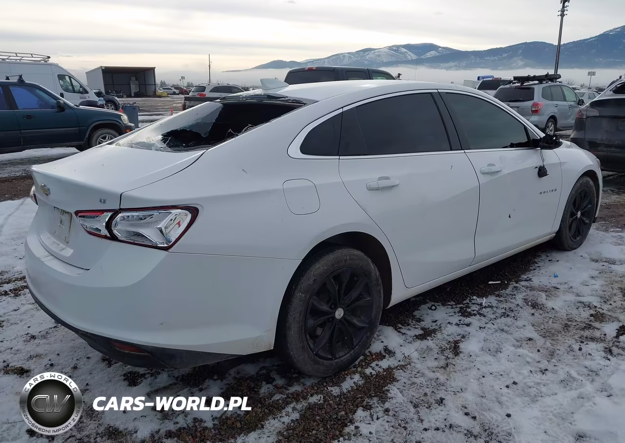 2019 Chevrolet Malibu Lt VIN:1G1ZD5ST0KF153471 - 4