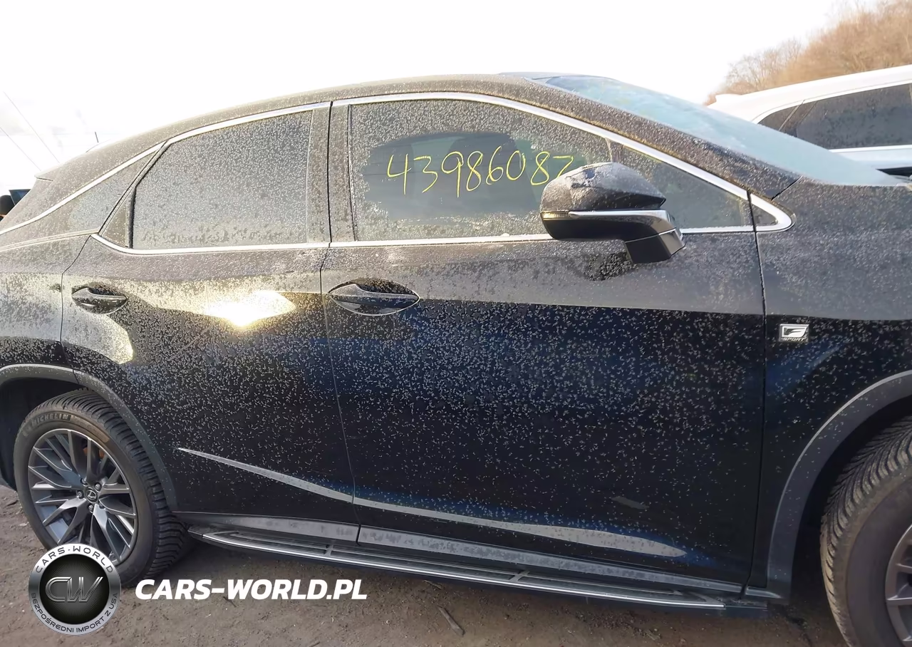 2017 Lexus Rx 350 F Sport VIN:2T2BZMCA9HC085962 - 13