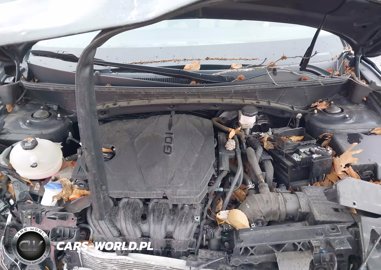 2023 Hyundai Tucson Sel VIN:5NMJFCAE6PH229811 - 10