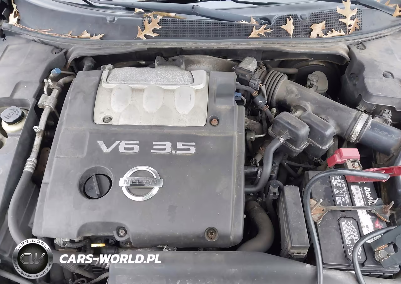 2004 Nissan Maxima 3.5 Se VIN:1N4BA41E94C892783 - 10