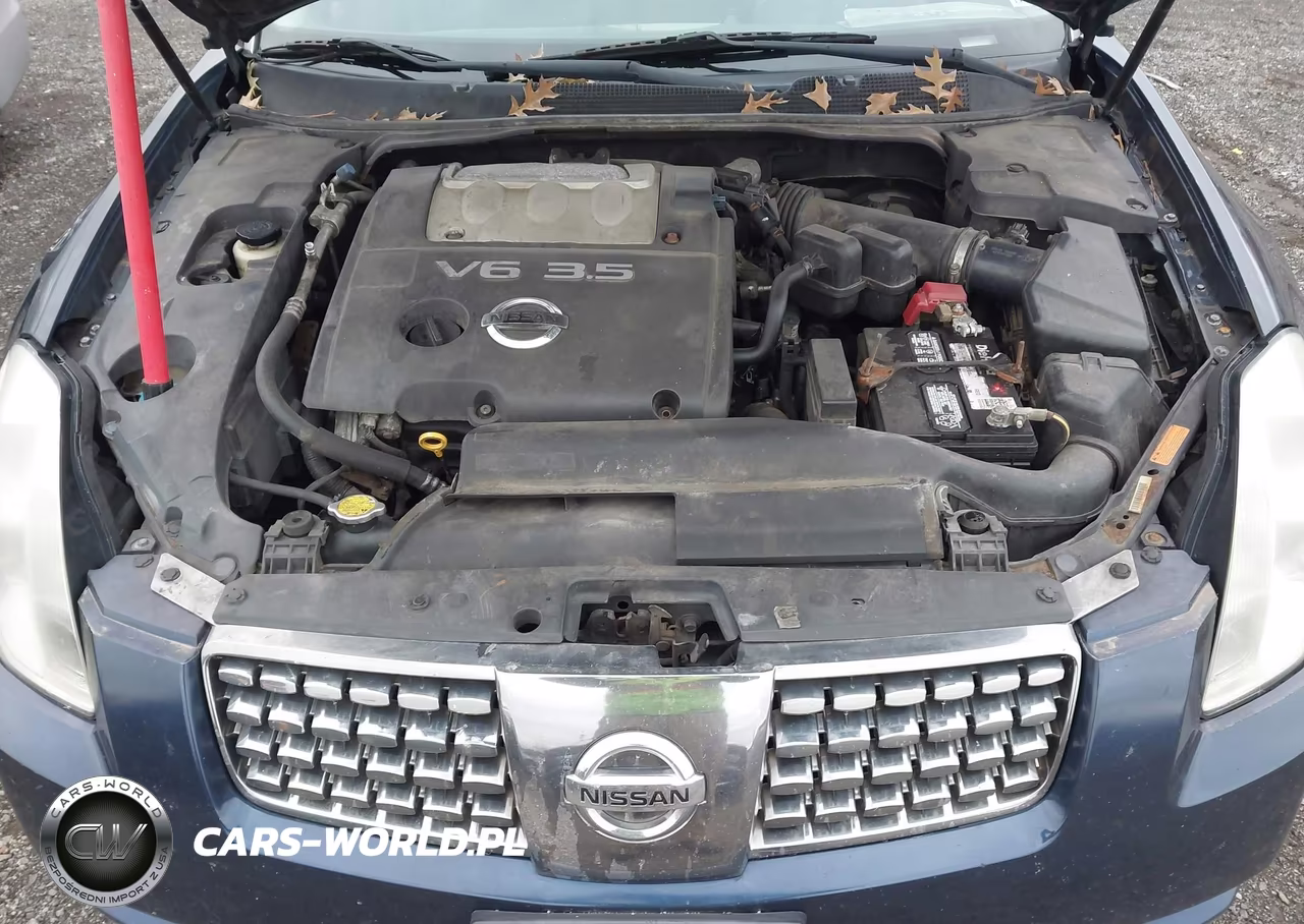 2004 Nissan Maxima 3.5 Se VIN:1N4BA41E94C892783 - 6