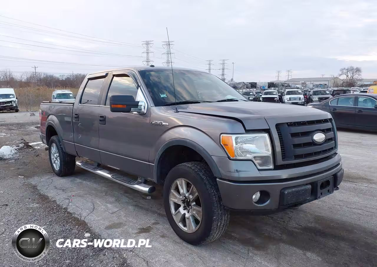 2009 Ford F-150 Fx4-King Ranch-Lariat-Platinum-Xl-Xlt
