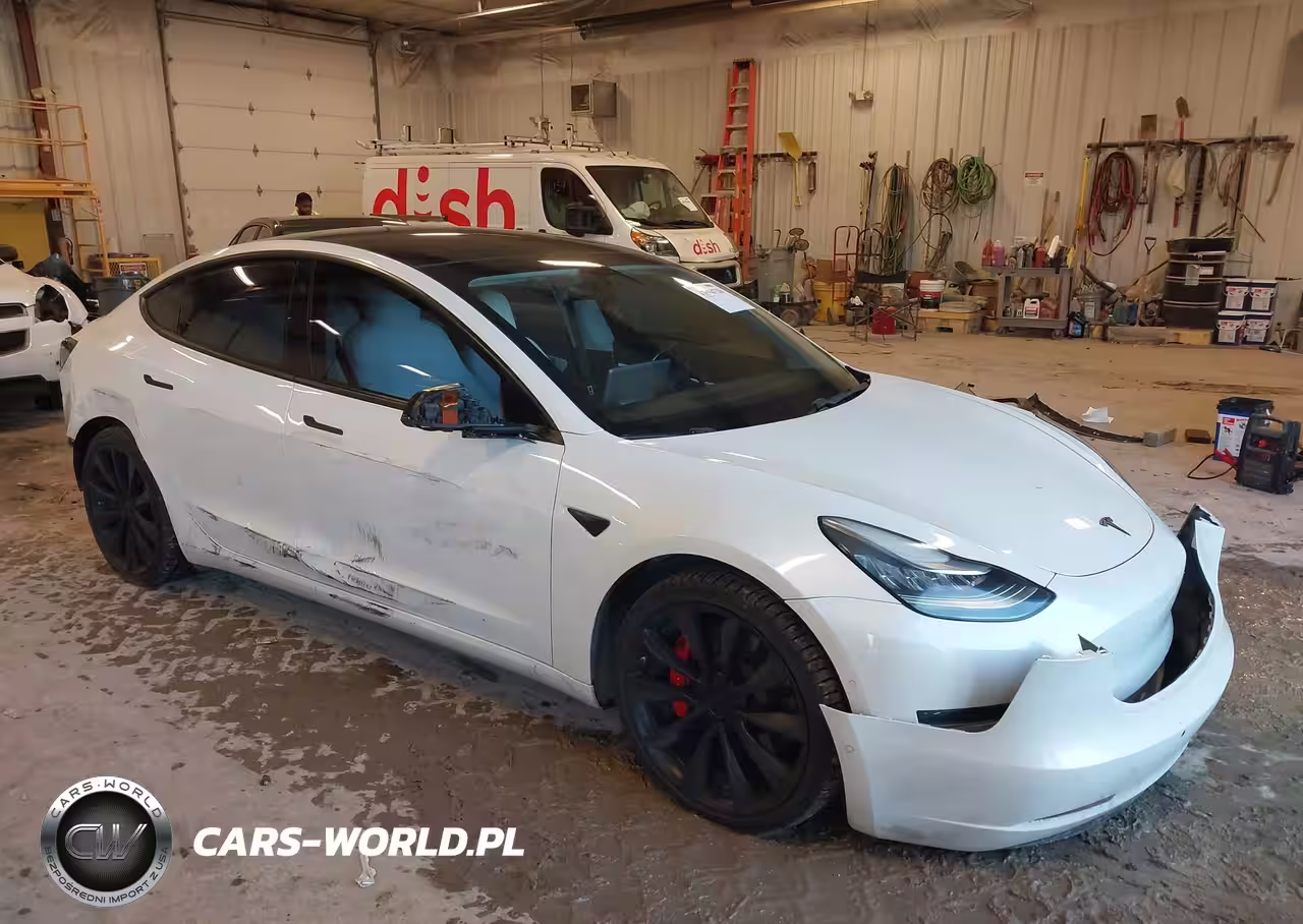 2019 Tesla Model 3 Long Range-Performance