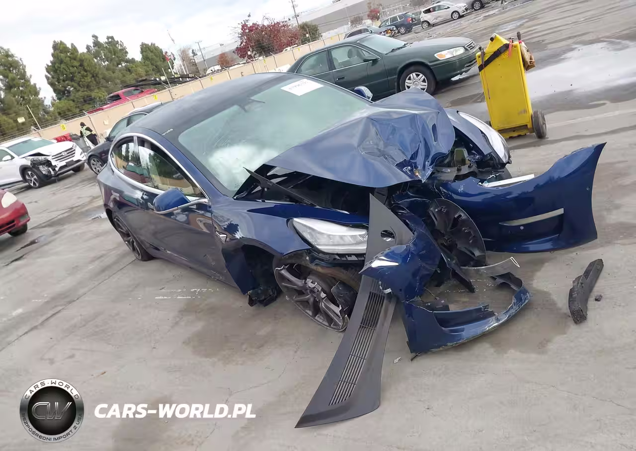 2019 Tesla Model 3 Long Range-Mid Range-Standard Range-Standard Range Plus