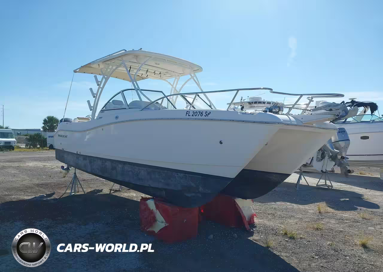 2020 World Cat Other