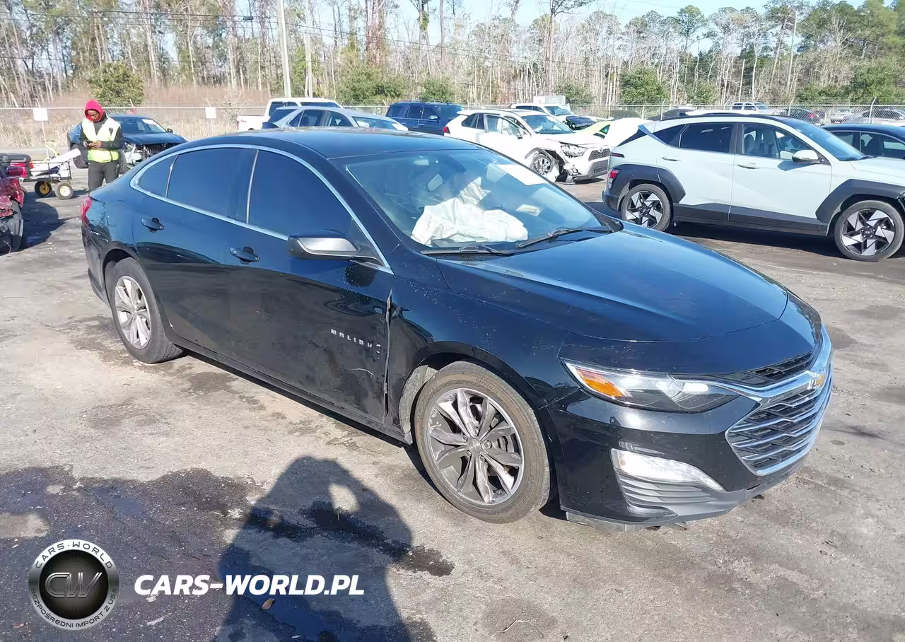 2019 Chevrolet Malibu Lt