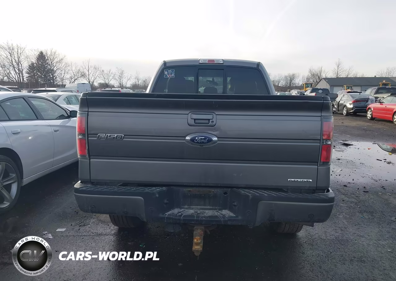 2014 Ford F-150 Fx4 VIN:1FTFX1EF1EFB59686 - 16
