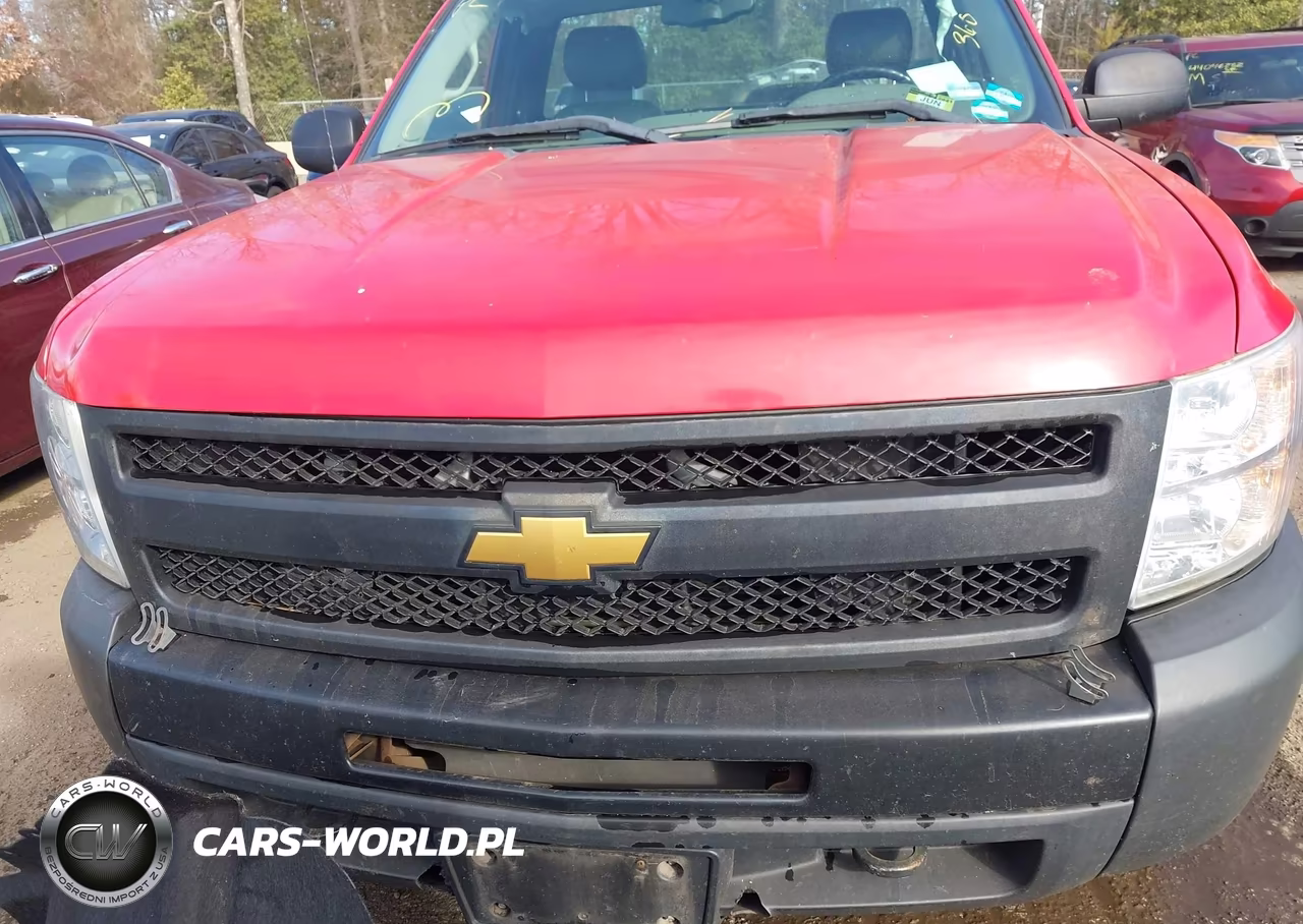 2012 Chevrolet Silverado 1500 Work Truck VIN:1GCNKPEA0CZ267620 - 12