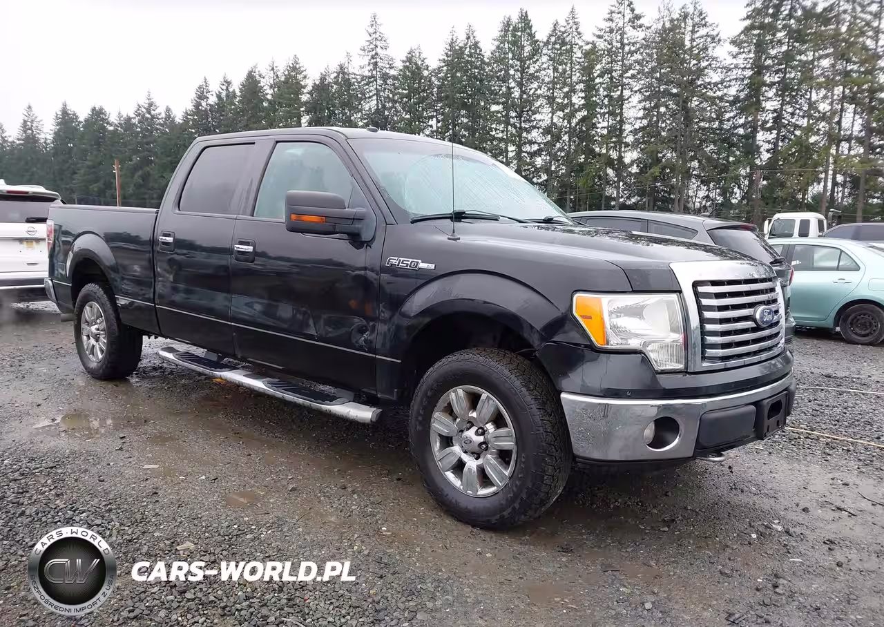 2010 Ford F-150 Xl-Xlt