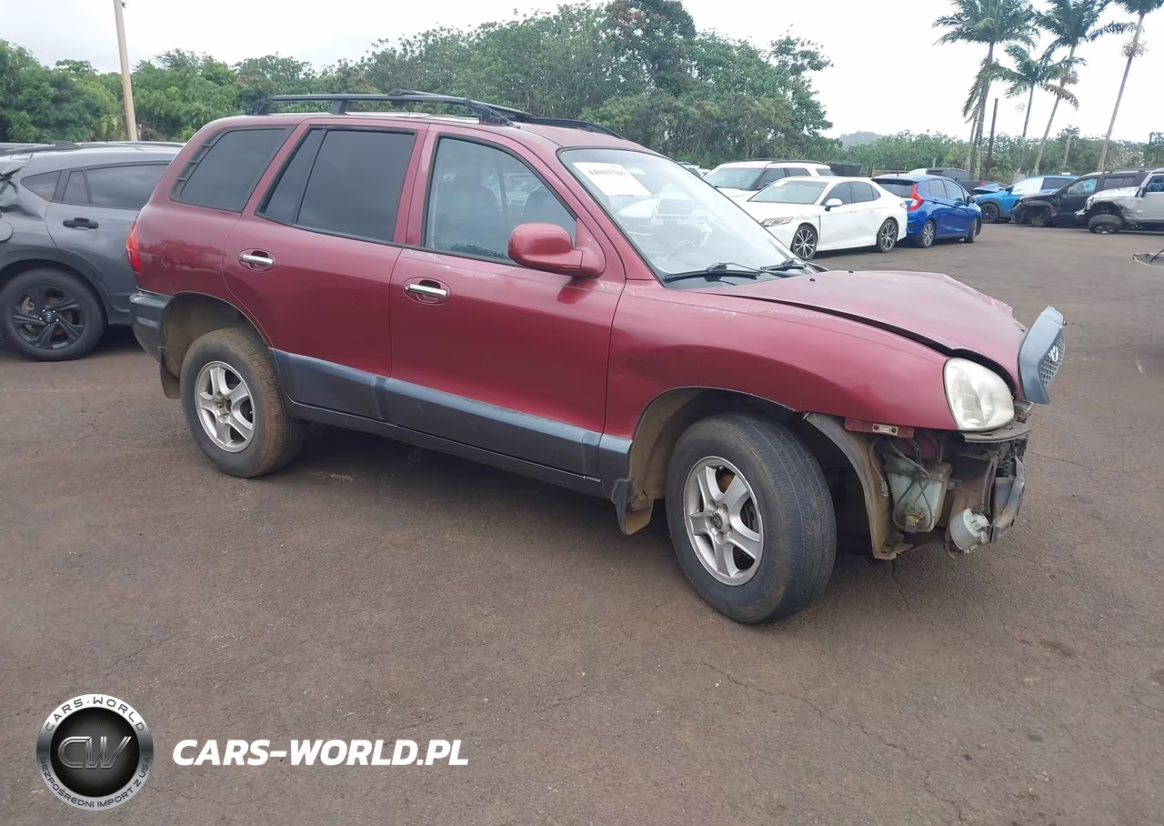 2003 Hyundai Santa Fe Gls-Lx VIN:KM8SC73EX3U484879 - 1