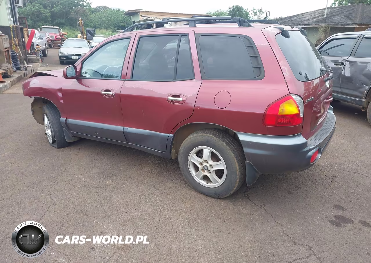 2003 Hyundai Santa Fe Gls-Lx VIN:KM8SC73EX3U484879 - 3