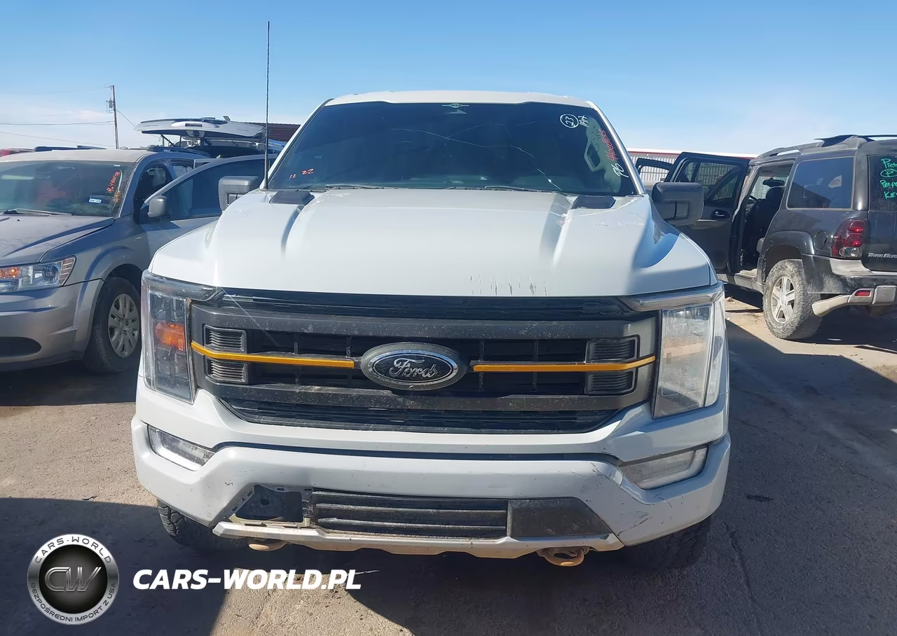 2023 Ford F-150 Tremor VIN:1FTFW1E55PFC68147 - 12