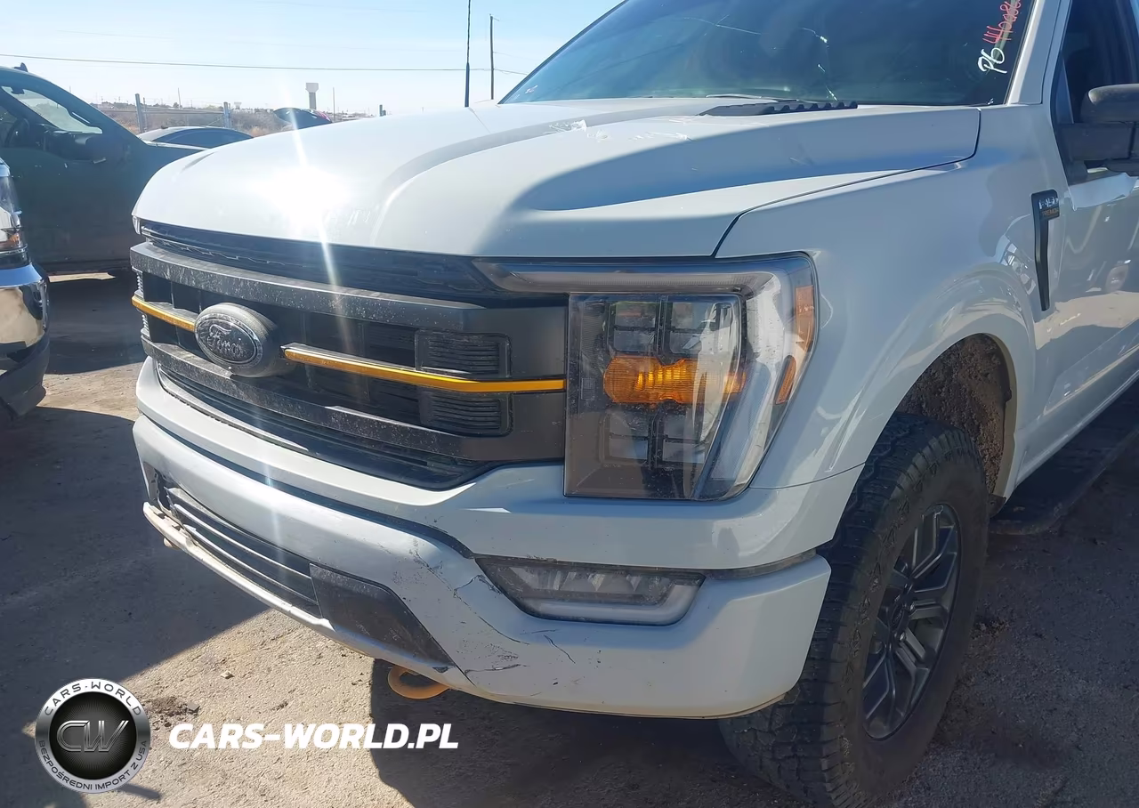 2023 Ford F-150 Tremor VIN:1FTFW1E55PFC68147 - 17