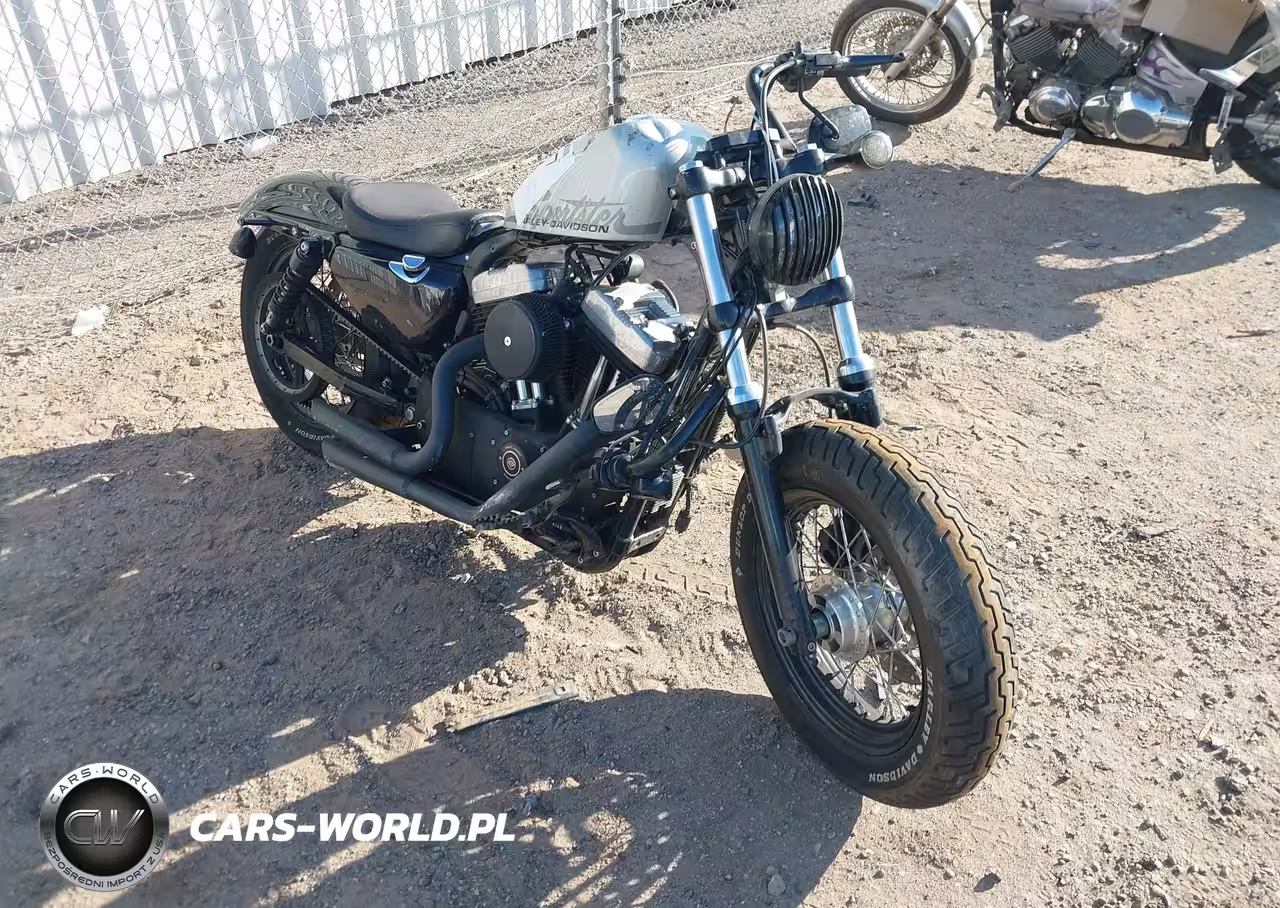 2010 Harley-Davidson Xl1200 X