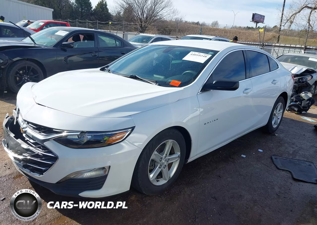 2019 Chevrolet Malibu 1Ls VIN:1G1ZB5STXKF227274 - 2