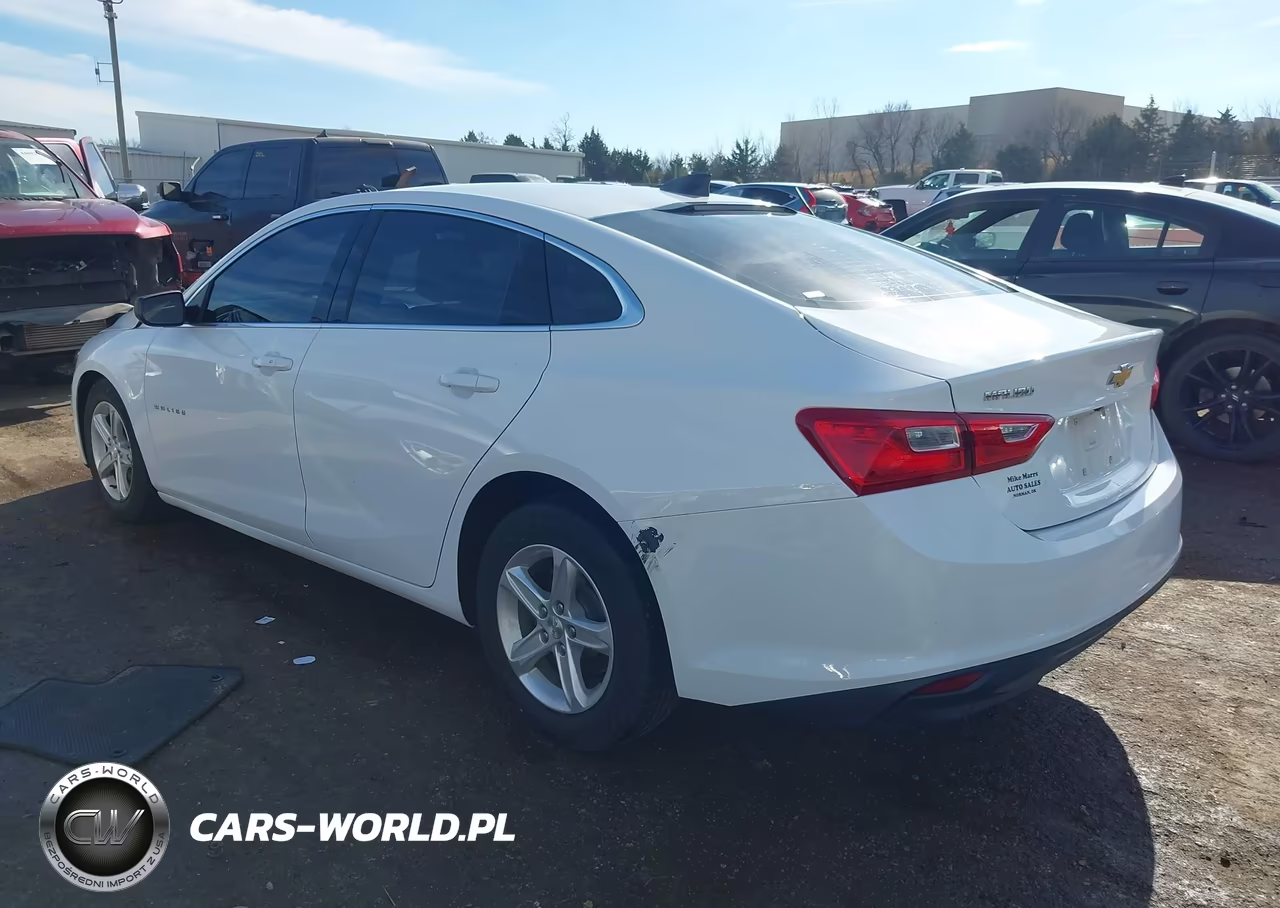 2019 Chevrolet Malibu 1Ls VIN:1G1ZB5STXKF227274 - 3