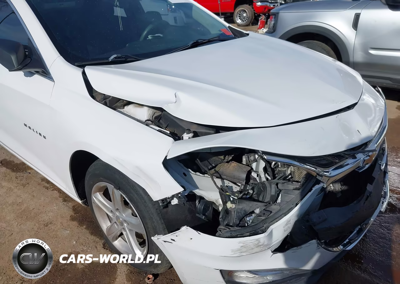 2019 Chevrolet Malibu 1Ls VIN:1G1ZB5STXKF227274 - 6