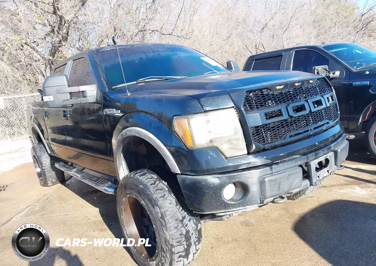 2009 Ford F-150 Fx4-King Ranch-Lariat-Platinum-Xl-Xlt