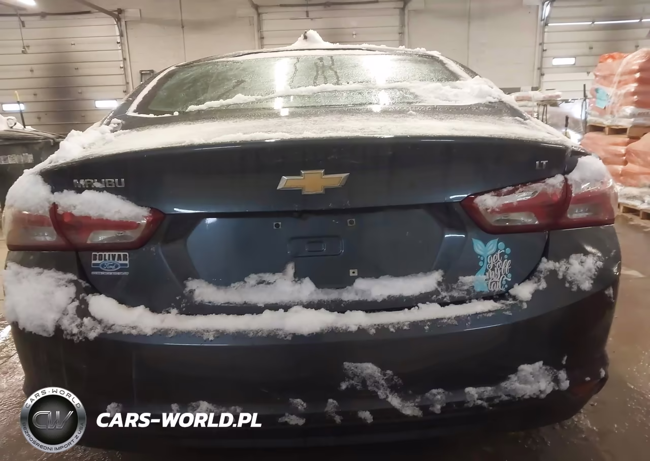 2020 Chevrolet Malibu Fwd Lt VIN:1G1ZD5ST5LF088022 - 17