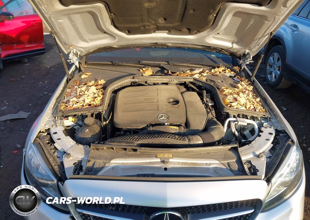 2021 Mercedes-Benz C 300 4Matic VIN:W1KWF8EB5MR644781 - 10