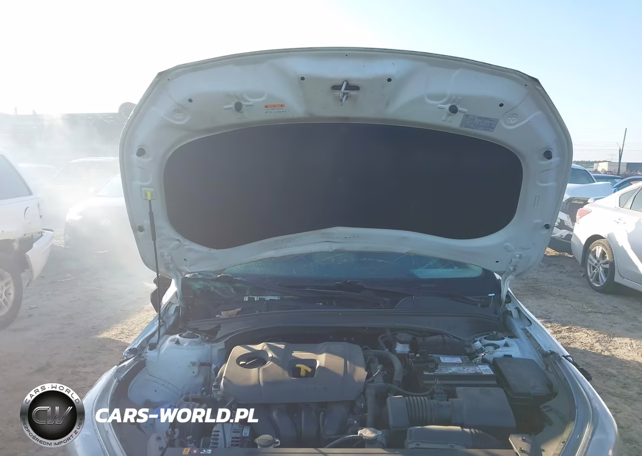 2021 Kia Forte Lxs VIN:3KPF24AD5ME271923 - 10
