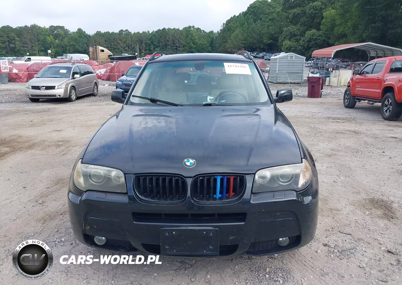 2006 BMW X3 3.0I VIN:WBXPA93476WG74690 - 12