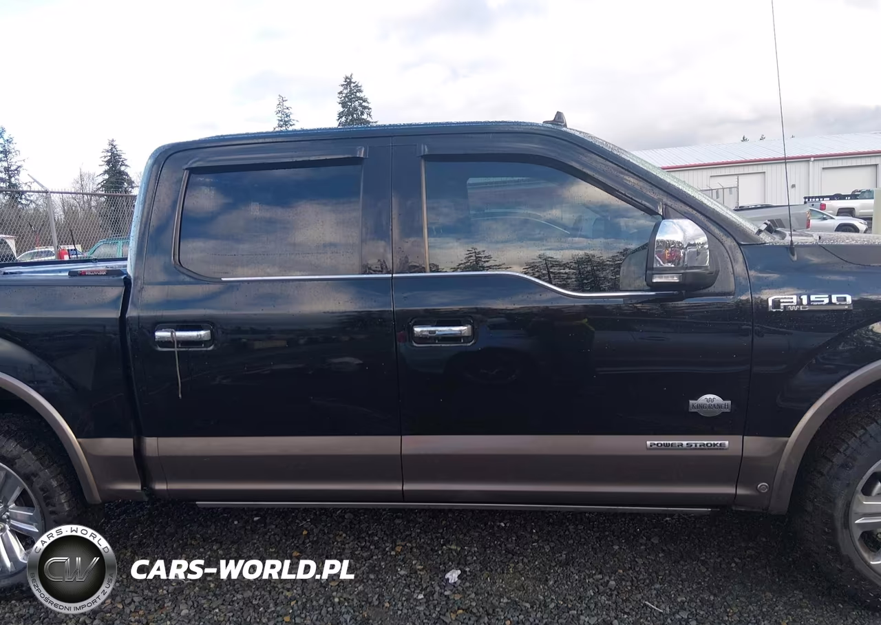 2018 Ford F-150 King Ranch VIN:1FTFW1E15JFE46689 - 13