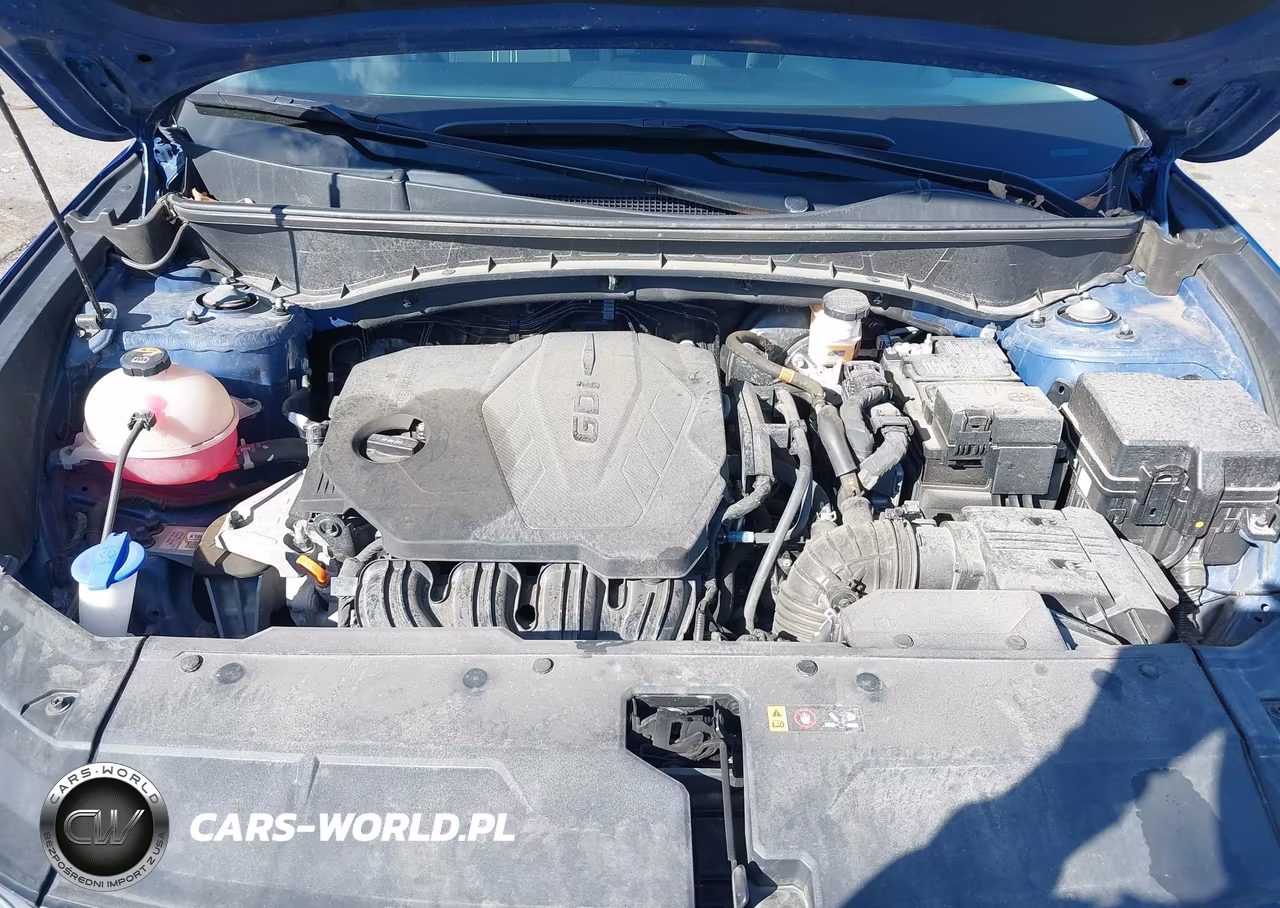 2024 Hyundai Tucson Sel VIN:5NMJBCDE3RH328290 - 10