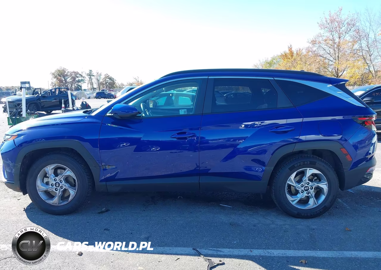 2024 Hyundai Tucson Sel VIN:5NMJBCDE3RH328290 - 14