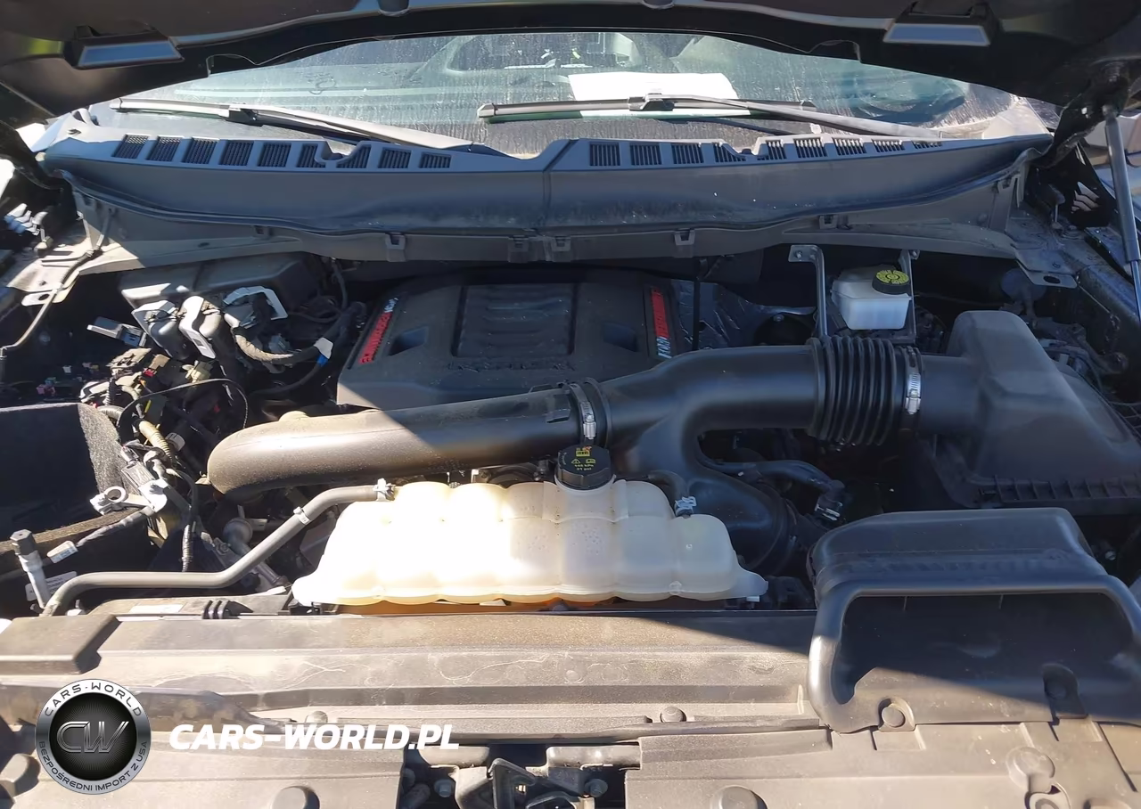 2023 Ford F-150 Raptor VIN:1FTFW1RG0PFA63508 - 10