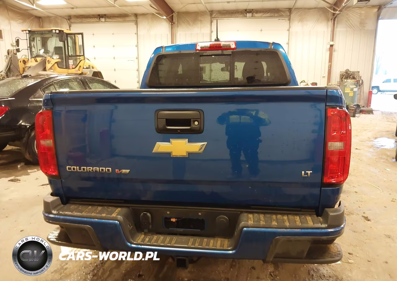 2019 Chevrolet Colorado Lt VIN:1GCGTCEN7K1200317 - 16