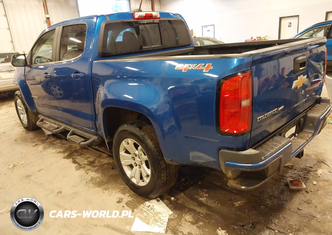 2019 Chevrolet Colorado Lt VIN:1GCGTCEN7K1200317 - 3