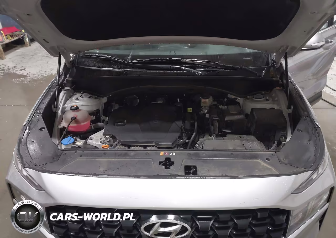2023 Hyundai Santa Fe Sel VIN:5NMS2DAJ3PH548229 - 10