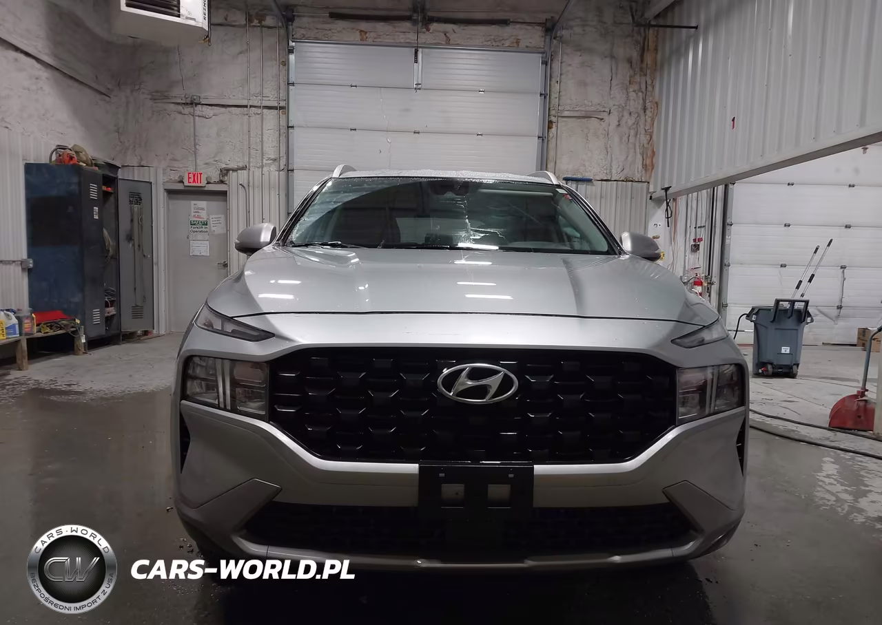 2023 Hyundai Santa Fe Sel VIN:5NMS2DAJ3PH548229 - 11