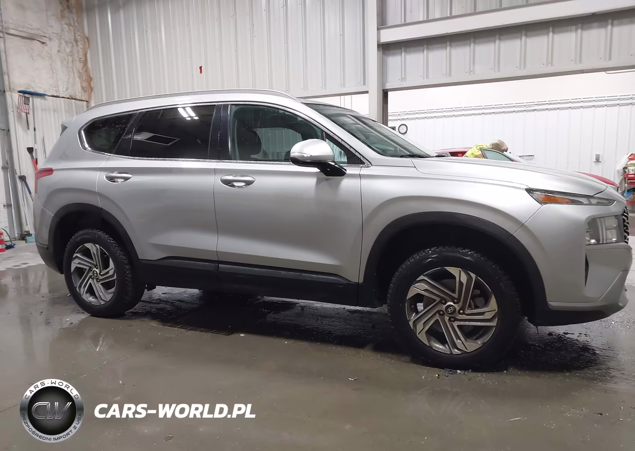 2023 Hyundai Santa Fe Sel VIN:5NMS2DAJ3PH548229 - 12