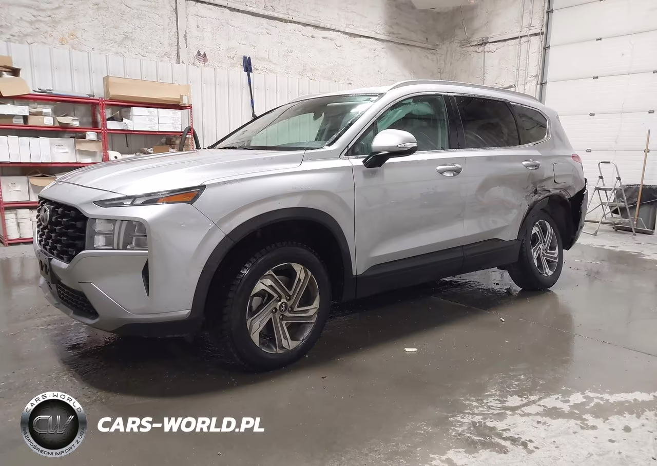 2023 Hyundai Santa Fe Sel VIN:5NMS2DAJ3PH548229 - 2