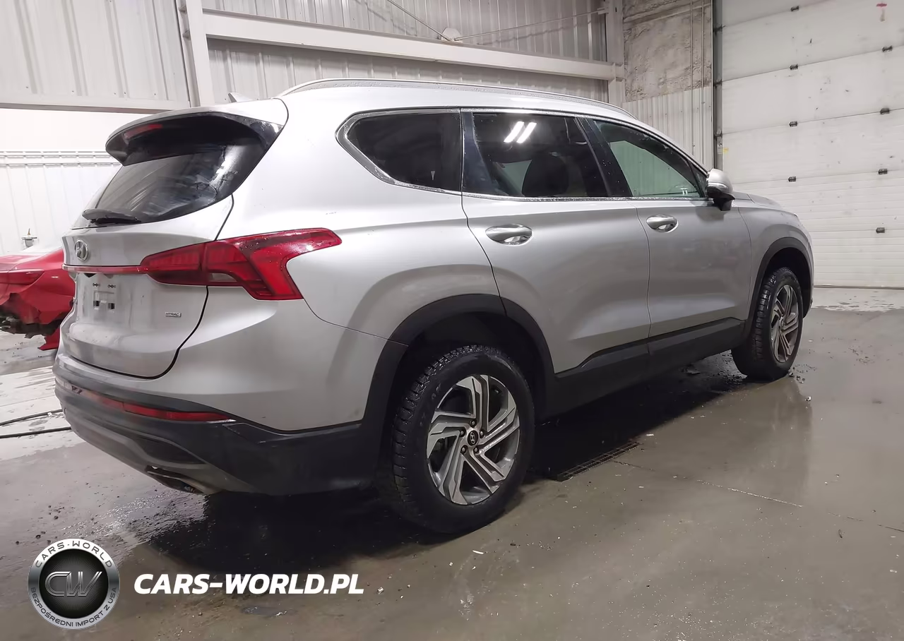 2023 Hyundai Santa Fe Sel VIN:5NMS2DAJ3PH548229 - 4