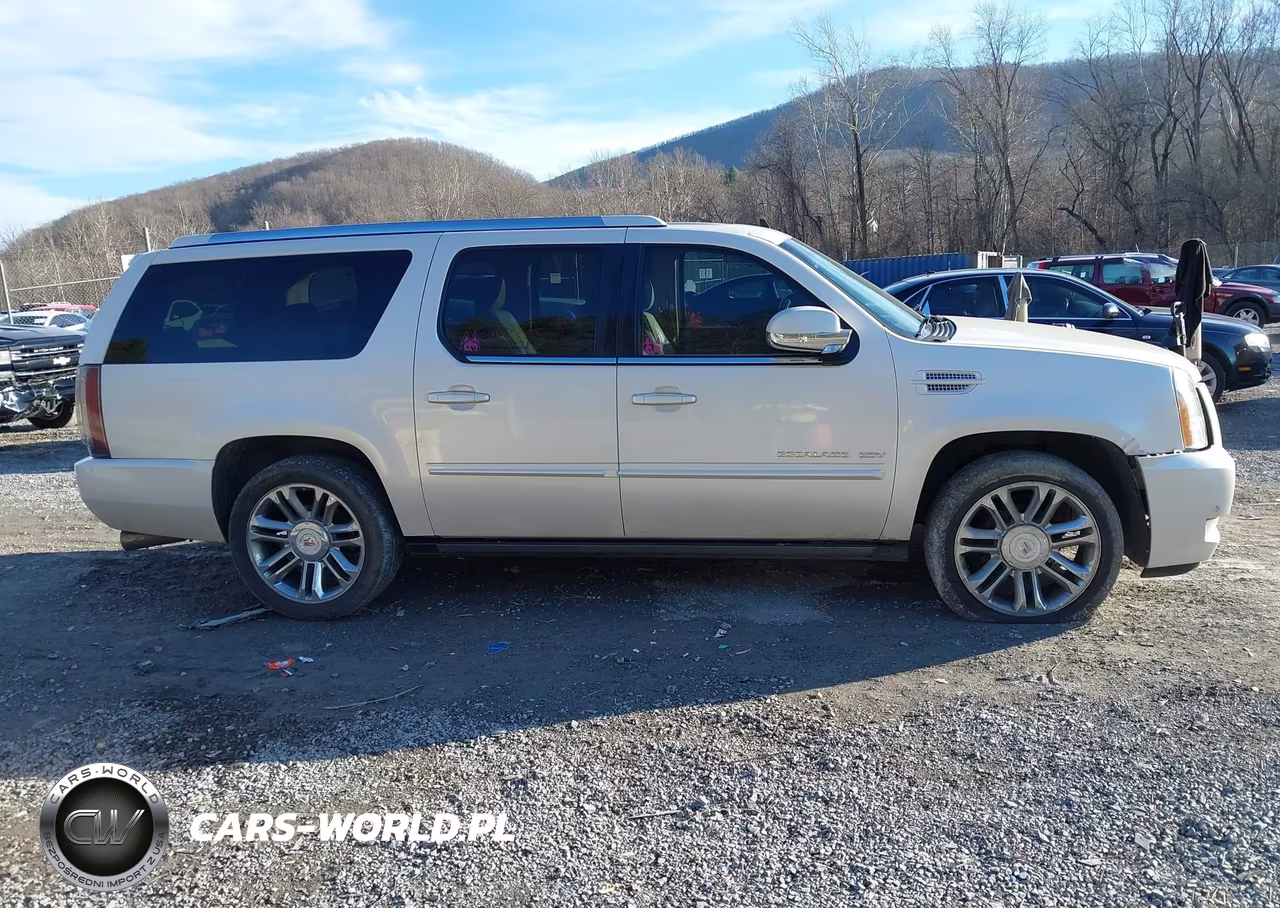 2013 Cadillac Escalade Esv Premium VIN:1GYS4JEF3DR114022 - 13